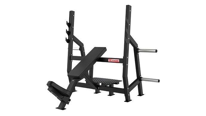 SFE Commercial Incline Bench Press